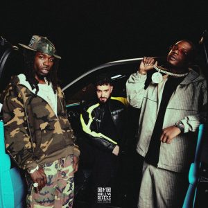 Avion de chasse – ZEG P, Gazo, Ninho